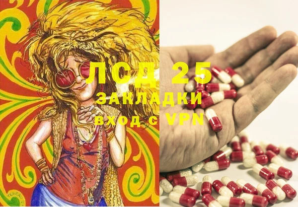 мескалин Алексин
