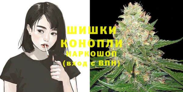 мдпв Пересвет
