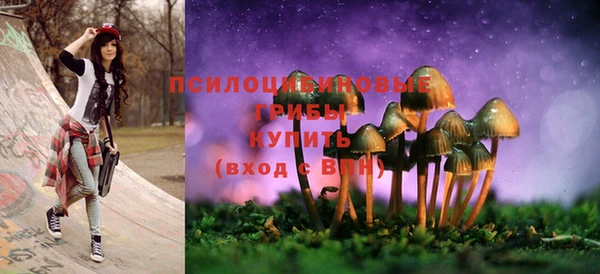 мескалин Алексин